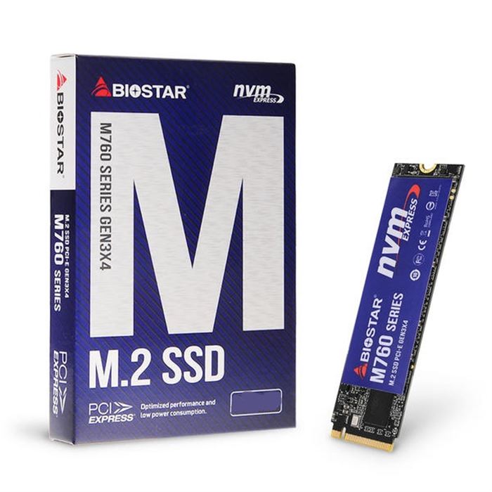 Biostar M760 256GB M.2 2280 Internal SSD Drive